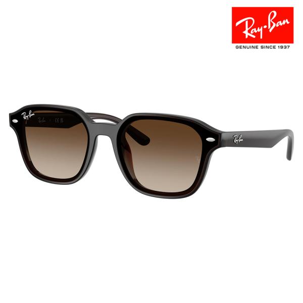 レイバン サングラス RB4458D 601/81 65 Ray-Ban スクエア セル ユニセック...