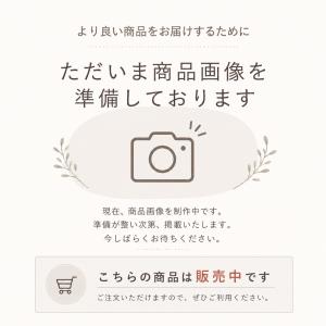 キャスコ パター(ボックスタイプ) 34インチ Blue9/9 WB-011