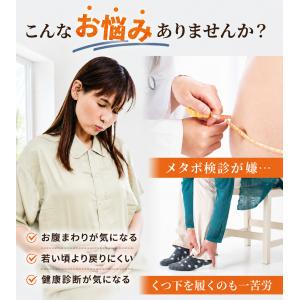 ダイエットサプリ お腹の脂肪を減らす 内臓脂肪...の詳細画像3