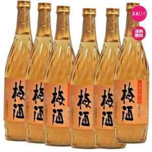 魔王 【通称＝魔王梅酒！あの魔王の蔵が製造！美味しいと大人気