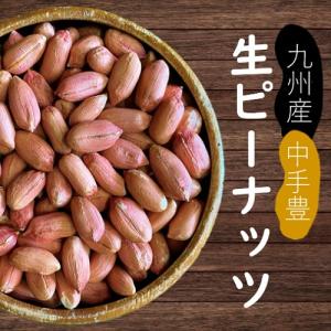 千葉県産 県内発送 ナカテユタカ 10kg 手むき 乾燥生落花生 2024年度産 未調理なまから付落花生(ナカテユタカ)500g