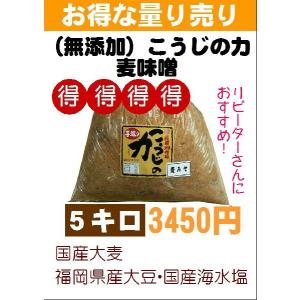 ＜福岡・浦野醤油醸造元＞■5KG■国産原料使用　無添加こうじの力麦みそ（塩分ひかえめ）｜urano-shoyu