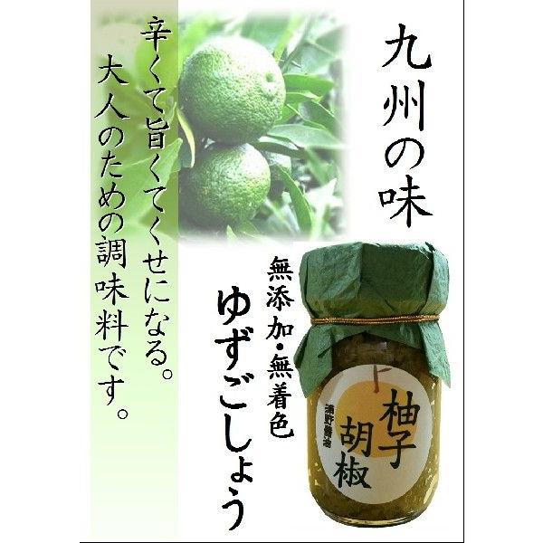 〜無添加〜柚子胡椒（ゆずごしょう）80ｇ