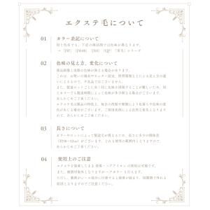 シールエクステ 約50cm 1シート(2本分)...の詳細画像5
