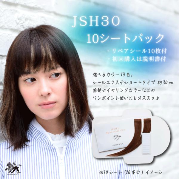 シールエクステ 約27〜30cm 10シート(20〜40本分) 人毛エクステ エクステ セルフエクス...