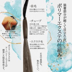 クイック ポリマー エクステ 約48cm〜50...の詳細画像5