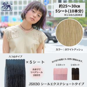 1b/80当日発送　シールエクステ　コテ、アイロンOK♡ 1b/80当日発送 シールエクステ コテ、アイロンOK♡ m1b.jpg