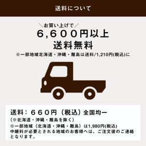 【選べるカラー】MTG リファ ビューテック ...の詳細画像3