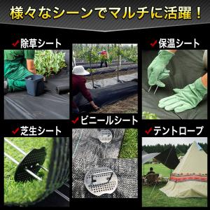 Uピン杭 黒丸付き 15cm 除草シート 押さ...の詳細画像1
