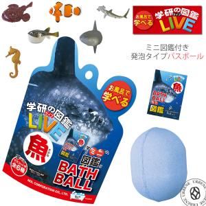 新品未開封品　海物語 バスボム バスボール　1BOX　24個入り 海物語バスボール🫧 #海物語 #バスボール #バスボム