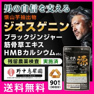 ジオス源90粒入り ジオスゲニン サプリ サプ...の詳細画像1