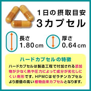 ジオス源90粒入り ジオスゲニン サプリ サプ...の詳細画像2