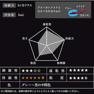 GLAMORIZE グラマライズ 2ヶ月グループラスの詳細画像3