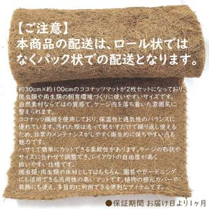 【2枚】 ココナッツマット 床材 飼育 爬虫類...の詳細画像1