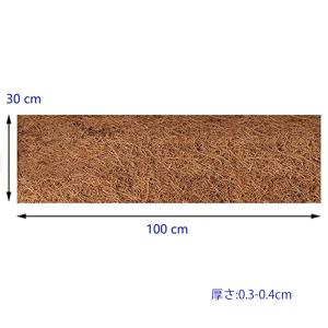 【2枚】 ココナッツマット 床材 飼育 爬虫類...の詳細画像2