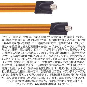 フラット同軸ケーブル F型メス-F型メス 隙間...の詳細画像1
