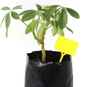 プラスチック園芸用ラベル 100点セット 花植...の詳細画像2