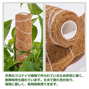 【4本セット】約30cm 園芸支柱 ココスティ...の詳細画像2