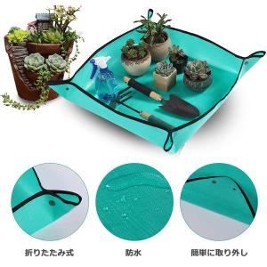 園芸シート 100cm × 100cm / 6...の詳細画像5