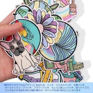 【18枚】 ワッペン アイロンワッペン アメカ...の詳細画像1