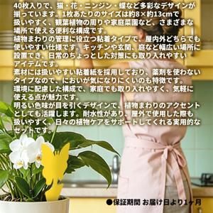 【各種10枚 計40枚】 虫取りシート 昆虫ト...の詳細画像1