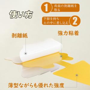 【各種10枚 計40枚】 虫取りシート 昆虫ト...の詳細画像3