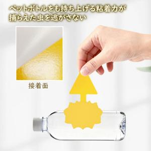 【各種10枚 計40枚】 虫取りシート 昆虫ト...の詳細画像4