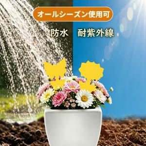 【各種10枚 計40枚】 虫取りシート 昆虫ト...の詳細画像5