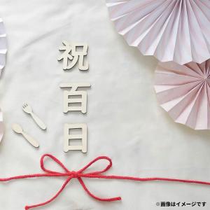 【12点】 百日祝い レターバナー 木製 10...の詳細画像3