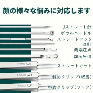 【収納ケース・鏡付き 計10個】精密ピンセット...の詳細画像2