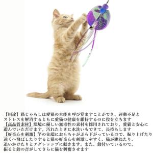 【6点セット】 竿付き 猫じゃらし 猫おもちゃ...の詳細画像2