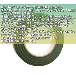 【ダークグリーン6巻 グリーン3巻 計9巻】フ...の詳細画像1