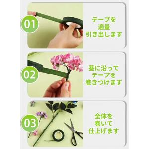 【ダークグリーン6巻 グリーン3巻 計9巻】フ...の詳細画像3