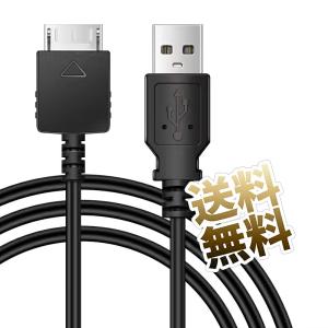 オーディオプレーヤー用 充電 データ転送 USBケーブル USB-A オス-専用多ピン端子 オス ブラック 約100cm