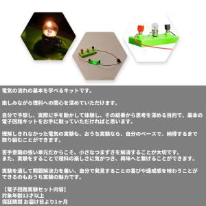 電気回路 実験キット 電気実験 基礎 直列回路...の詳細画像1