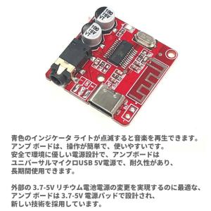 【2点】 DIY スピーカーキット パワーアン...の詳細画像2