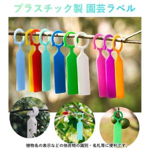 園芸用ラベル吊り下げタイプ 100点セット 樹...の詳細画像1