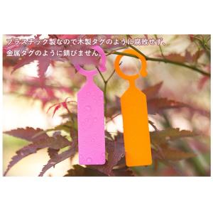園芸用ラベル吊り下げタイプ 100点セット 樹...の詳細画像2