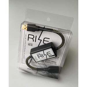 RISE USB AA-01（USBノイズフィルター）