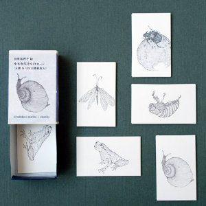 倉敷意匠計画室 小さな生きものカード  30枚入 （経木マッチ箱入） 【レターパック対応】