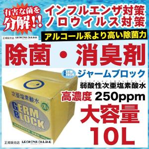 【除菌】ジャームブロック 弱酸性次亜塩素酸水 Amazon.co.jp: ジャームブロック 次亜塩素酸水 弱酸性 500ml 30ppm