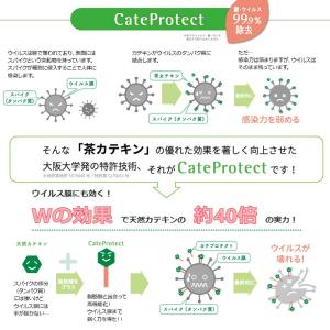 【日本製】 グリーティーラボ マスクスプレー ...の詳細画像3