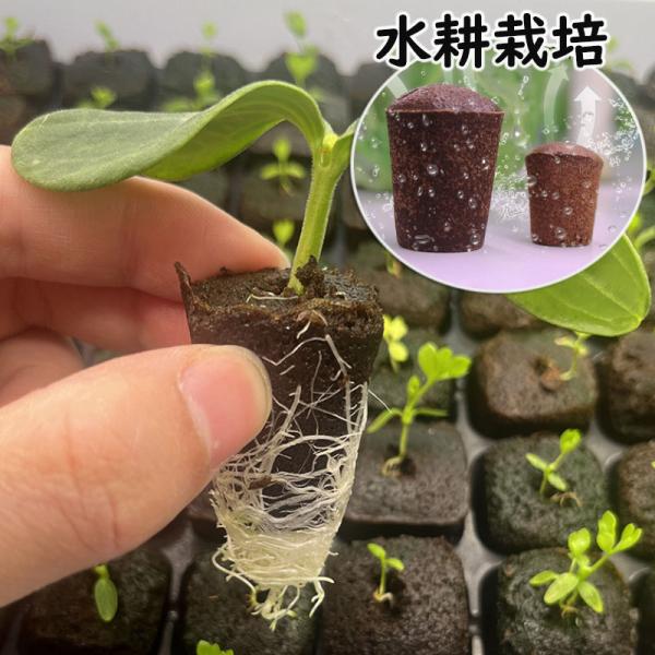 【50個セット】水耕栽培 スポンジ 水耕栽培キット用 ウレタン培地 スポンジ培地 有機 植えるスポン...