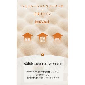 SNS大人気 ふわふわラグ 洗える もこもこ ...の詳細画像1