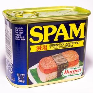 SPAM スパム 減塩 340g×6缶 レギュ...の詳細画像2