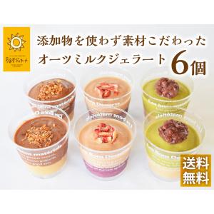 動物性素材不使用 ビーガン 乳アレルギー対応 オーツDUE 6個セット