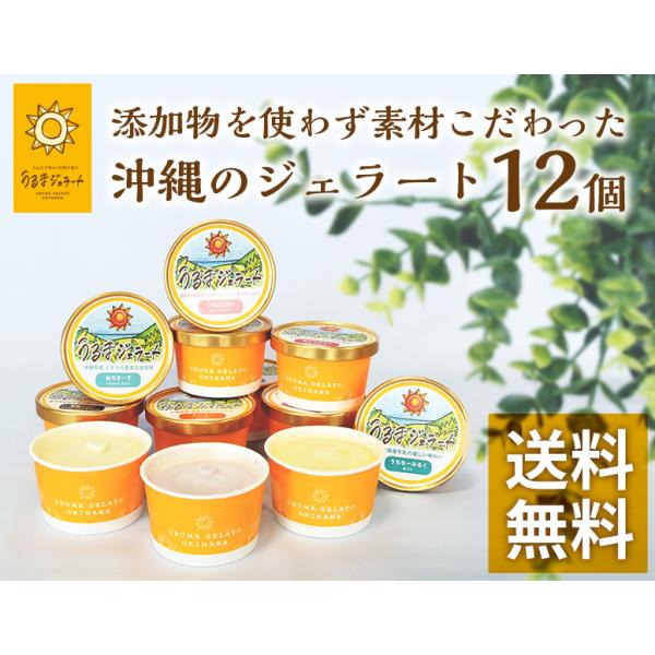 選べる12個 詰め合わせギフトセッ ト　送料無料！無添加・天然素材 の沖縄県産ジェラート　低カロリ ...