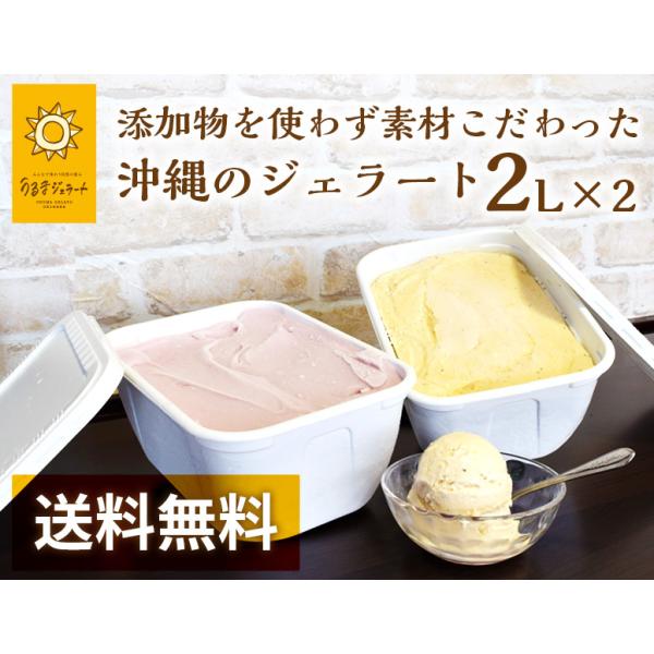 贅沢な２Lバット×２個セット　送料無料！無添加・天然素材の沖縄県産ジェラート　低カロリー＆低脂肪｜う...