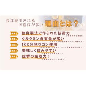 発酵ウコン茶 純発酵ウコン茶 500ml 24本入りの詳細画像2