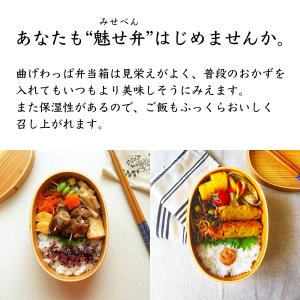 サイズが選べる! お試し曲げわっぱ 弁当箱 送...の詳細画像2